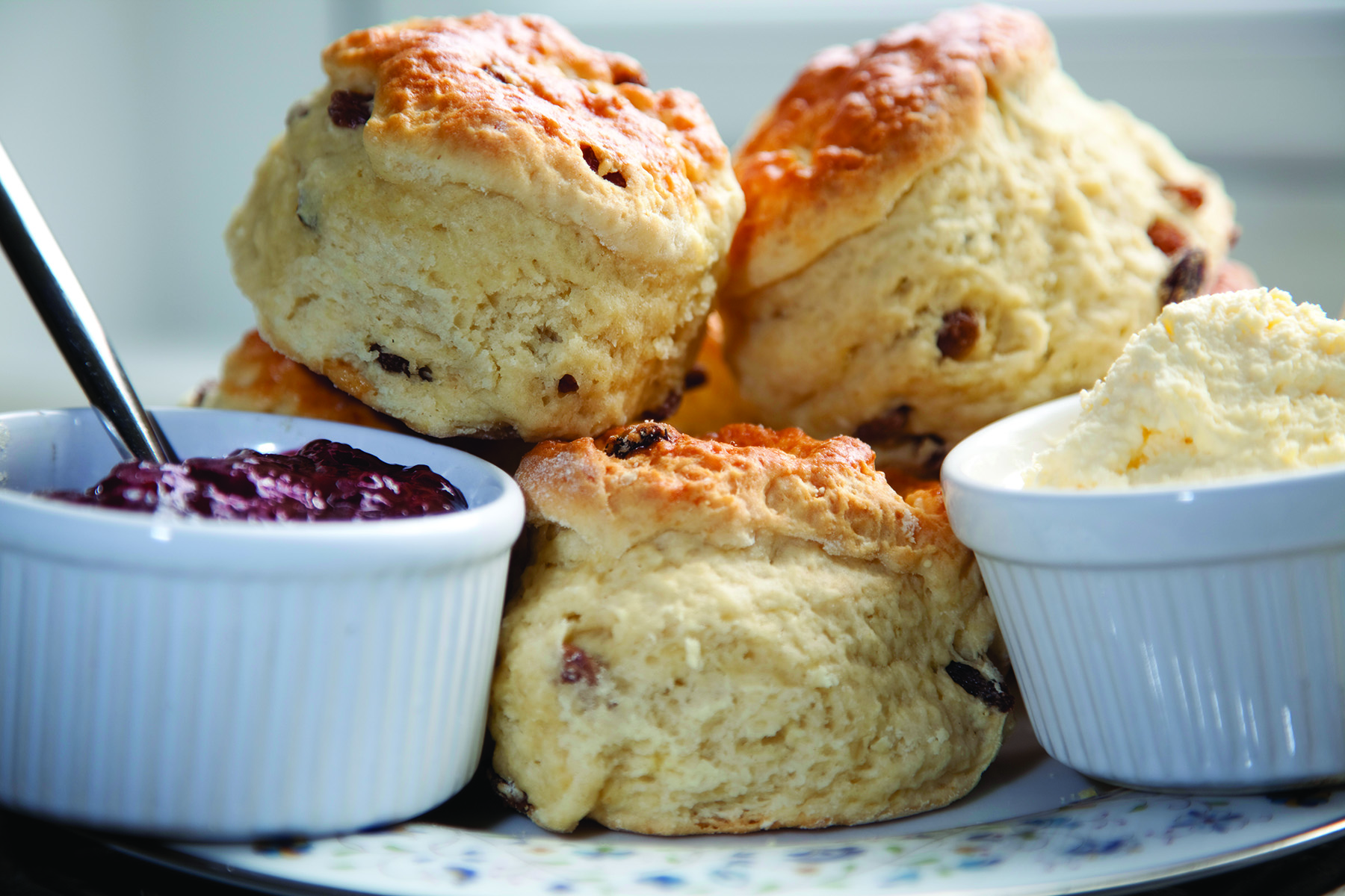Currant Scone Recipe - Grit